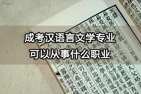 成考汉语言文学专业可以从事什么职业