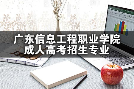 广东信息工程职业学院成人高考招生专业