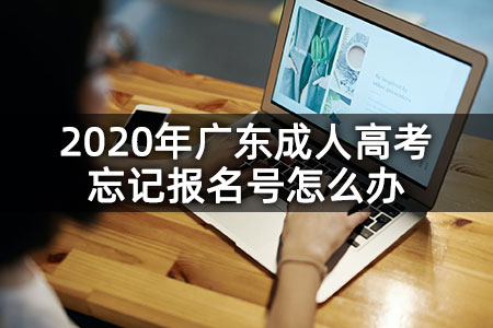 2020年广东成人高考忘记报名号怎么办
