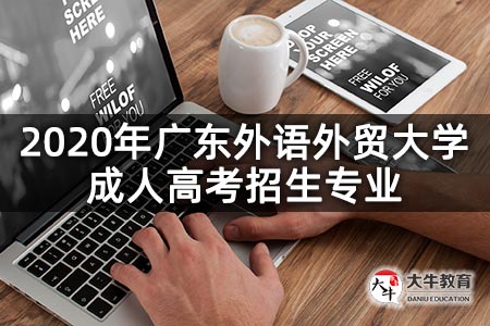 2020年广东外语外贸大学成人高考招生专业