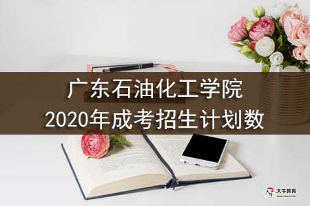 广东石油化工学院2020年成考招生计划数