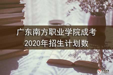广东南方职业学院成考2020年招生计划数