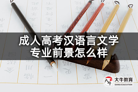 成人高考汉语言文学专业前景怎么样