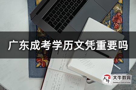 广东成考学历文凭重要吗