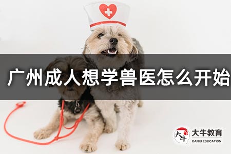 广州成人想学兽医怎么开始