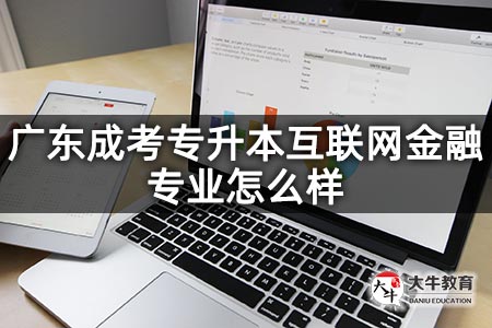 广东成考专升本互联网金融专业怎么样