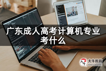 广东成人高考计算机专业考什么