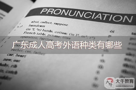 广东成人高考外语种类有哪些