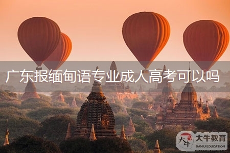 广东报缅甸语专业成人高考可以吗