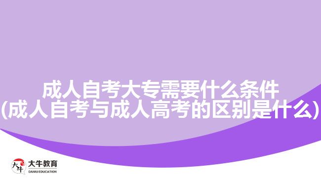 成人自考大专需要什么条件(成人自考与成人高考的区别是什么)