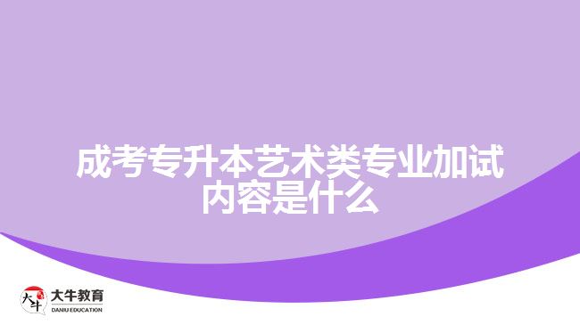 成考专升本艺术类专业加试内容是什么