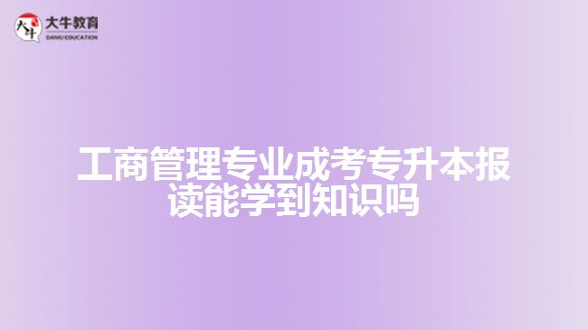 工商管理专业成考专升本报读能学到知识吗