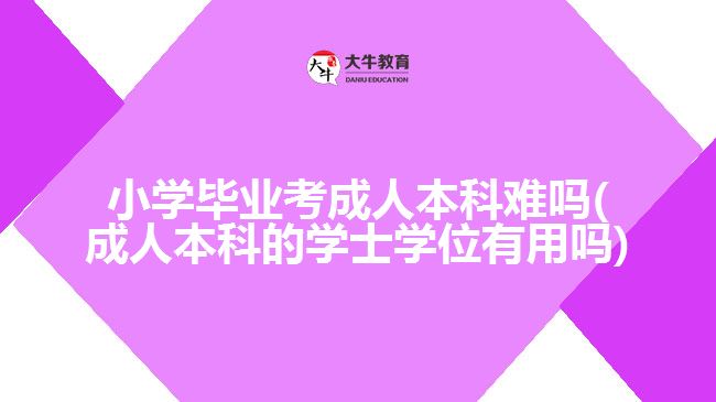 小学毕业考成人本科难吗(成人本科的学士学位有用吗)