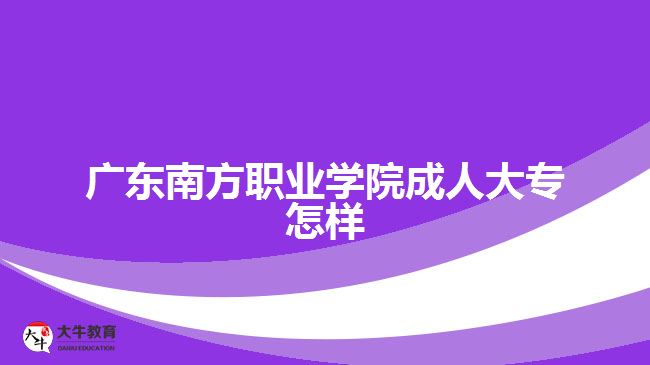 广东南方职业学院成人大专怎样