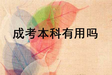 成考本科有用吗
