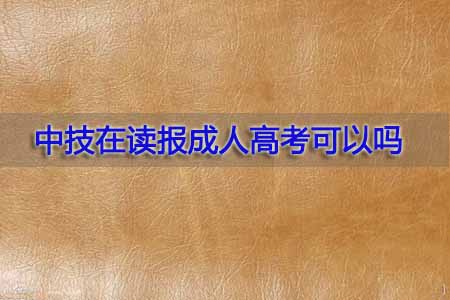 中技在读报成人高考可以吗