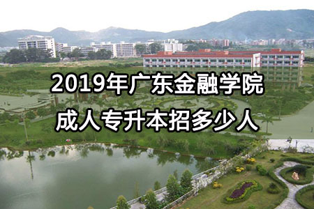 2019年广东金融学院成人专升本招多少人