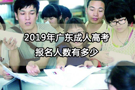 2019年广东成人高考报名人数有多少