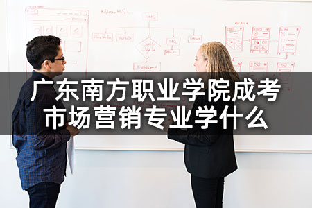 广东南方职业学院成考市场营销专业学什么