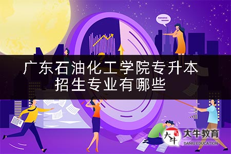 广东石油化工学院专升本招生专业有哪些