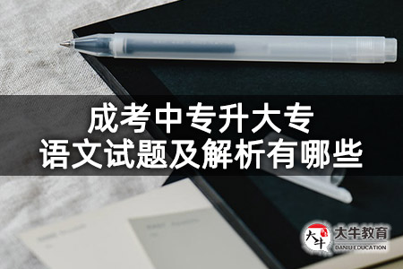 成考中专升大专语文试题及解析有哪些