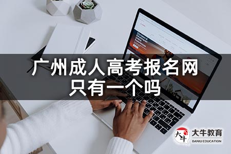 广州成人高考报名网只有一个吗