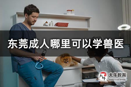 东莞成人哪里可以学兽医