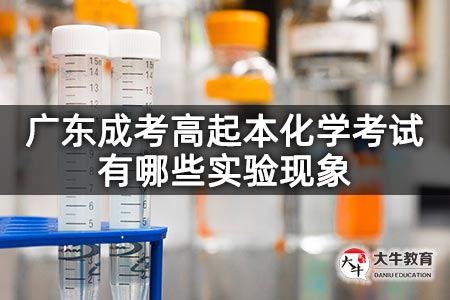 广东成考高起本化学考试有哪些实验现象
