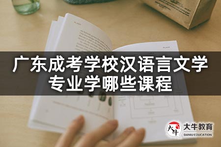 广东成考学校汉语言文学专业学哪些课程