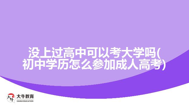 没上过高中可以考大学吗(初中学历怎么参加成人高考)