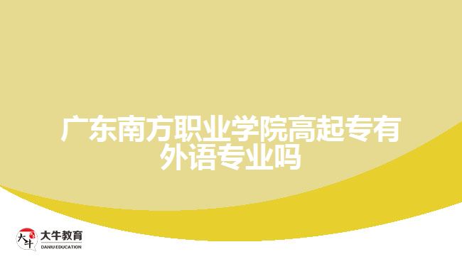 广东南方职业学院高起专有外语专业吗