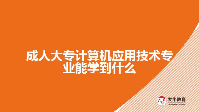 成人大专计算机应用技术专业能学到什么