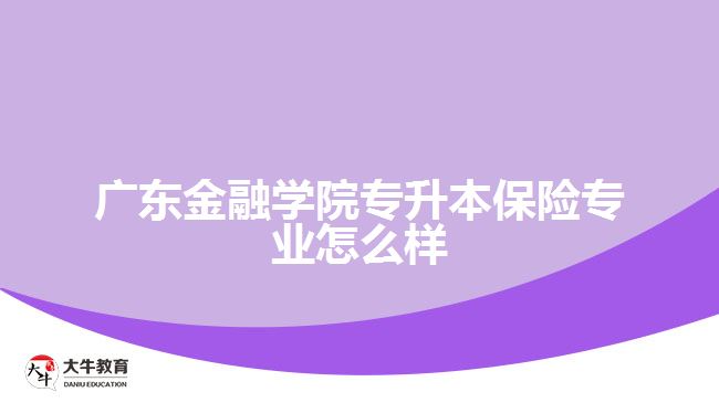 广东金融学院专升本保险专业怎么样