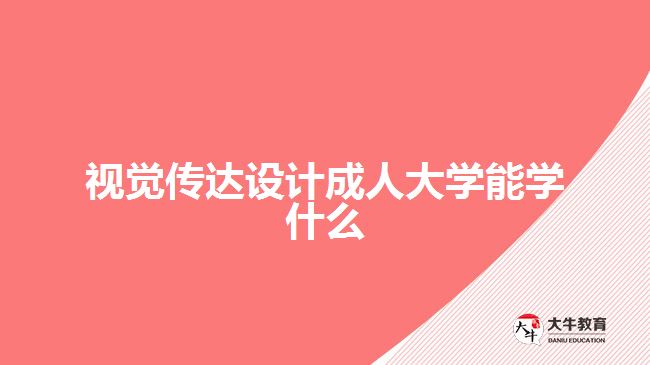 视觉传达设计成人大学能学什么