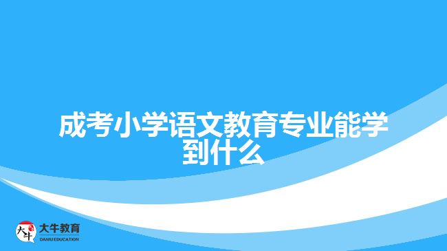 成考小学语文教育专业能学到什么