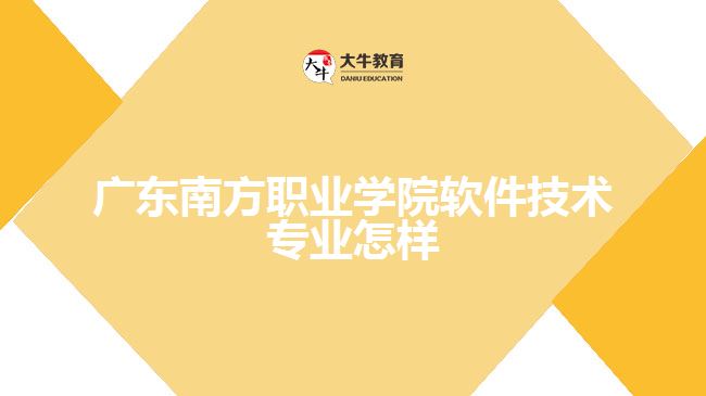 广东南方职业学院软件技术专业怎样