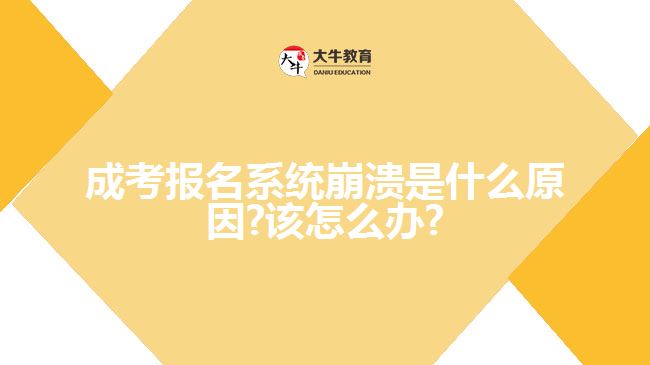 成考报名系统崩溃是什么原因?该怎么办?