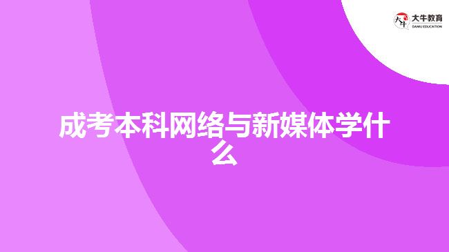 成考本科网络与新媒体学什么