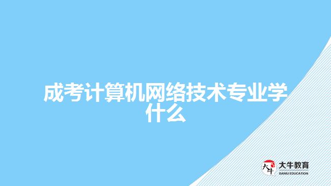 成考计算机网络技术专业学什么