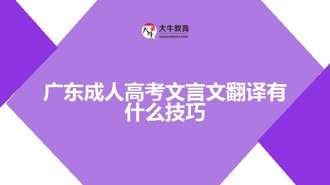 广东成人高考文言文翻译有什么技巧
