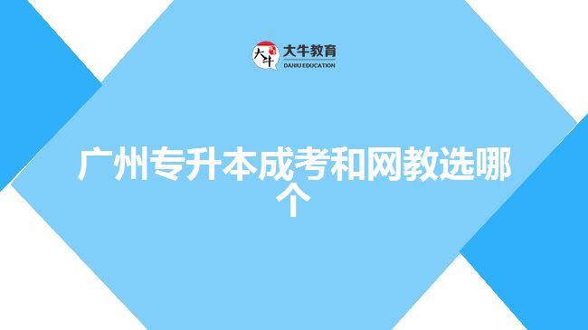 广州专升本成考和网教选哪个