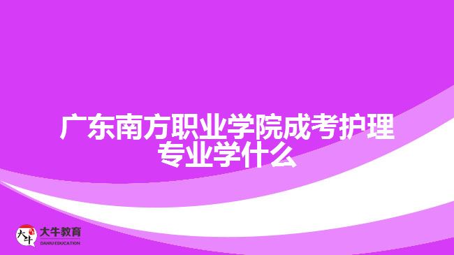 广东南方职业学院成考护理专业学什么