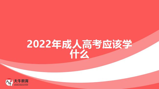 2022年成人高考应该学什么