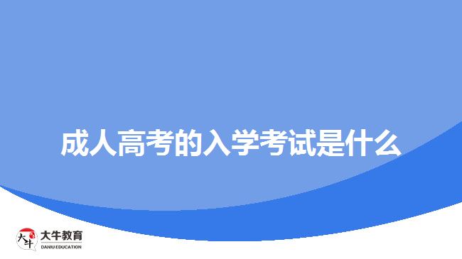 成人高考的入学考试是什么