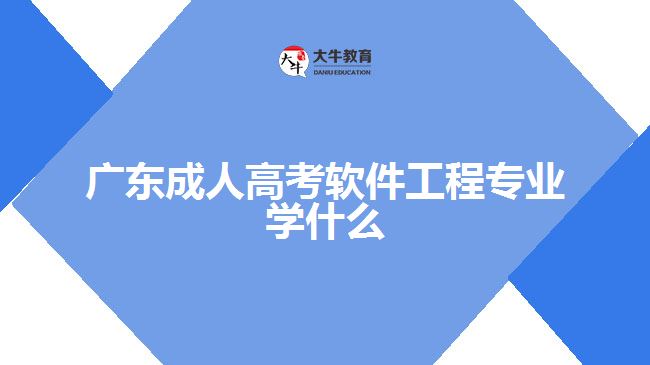 广东成人高考软件工程专业学什么