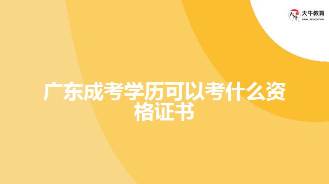 广东成考学历可以考什么资格证书