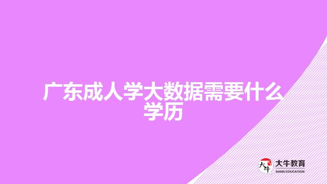 广东成人学大数据需要什么学历