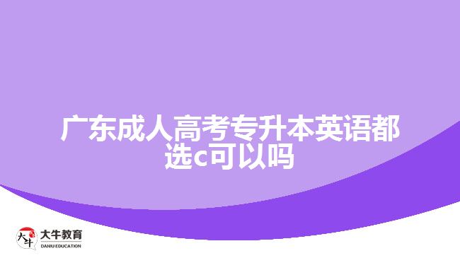 广东成人高考专升本英语都选c可以吗