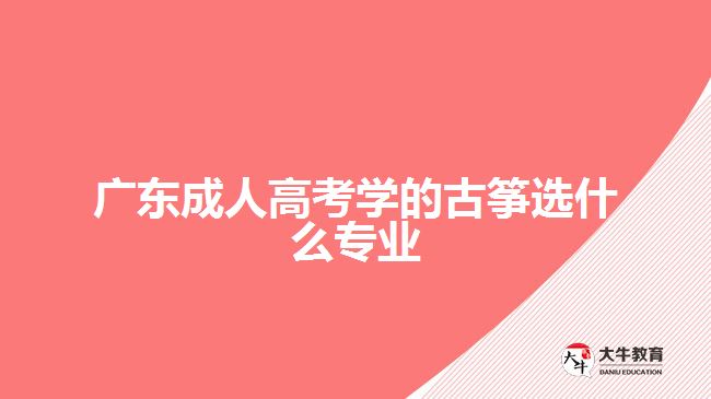 广东成人高考学的古筝选什么专业