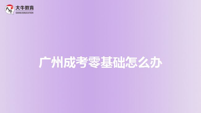 广州成考零基础怎么办